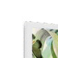 fluttering-flora-framed-print-31622020595868-3.png
