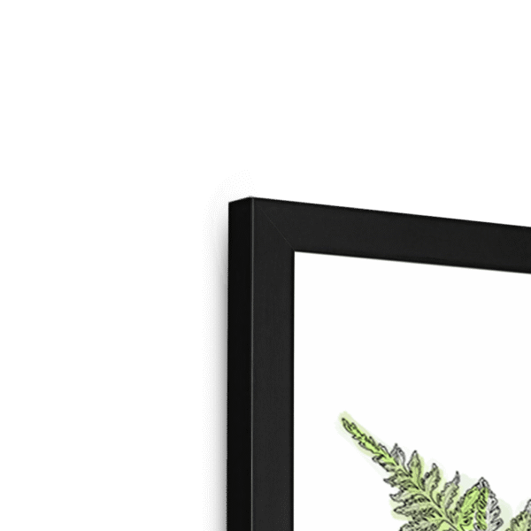 fougere-b-corner-4.png