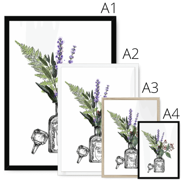 fougere-four-sizes-3.png