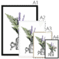 fougere-four-sizes-3.png