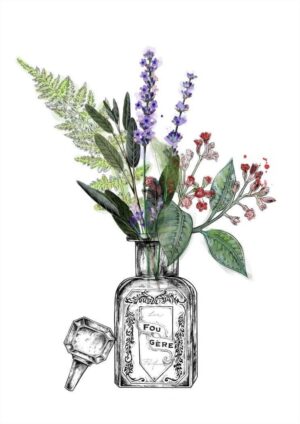 Fougere Matte Art Print