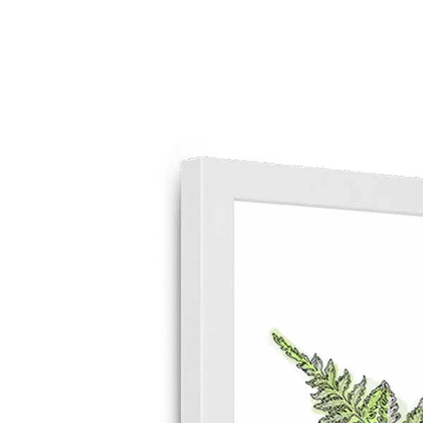 fougere-w-corner-3.png