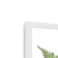 fougere-w-corner-3.png