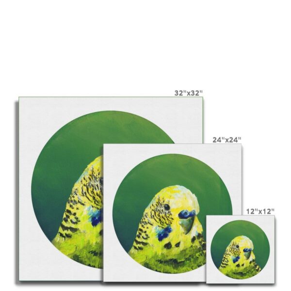 green-budgie-canvas-print-18462170022044-2.jpg