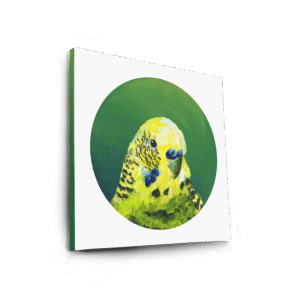 Green Budgie Canvas Print