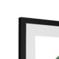 green-budgie-framed-mounted-print-18466056732828-2.jpg