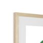 green-budgie-framed-mounted-print-18466056798364-2.jpg