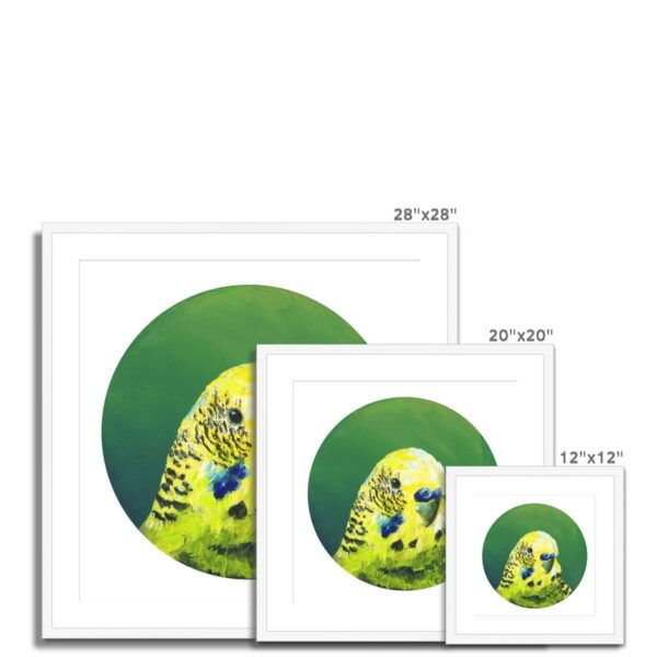 green-budgie-framed-mounted-print-18466056831132-2.jpg