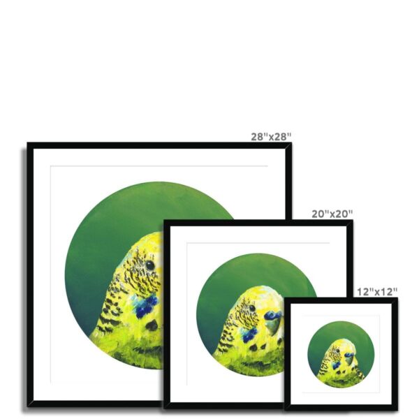 green-budgie-framed-mounted-print-18466056863900-2.jpg