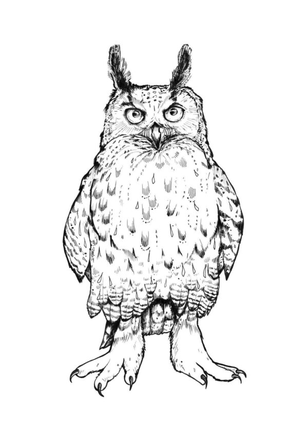 growly-matte-art-print-16949562376348-2.jpg