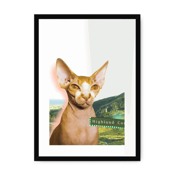 highland-coo-bf-wm-16.png