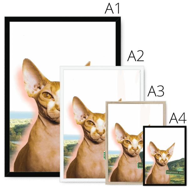 highland-coo-four-sizes-4.png