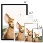 highland-coo-four-sizes-4.png