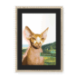 highland-coo-nf-bm-16.png
