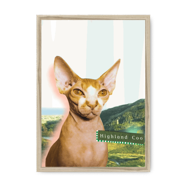 highland-coo-nf-nom-23.png