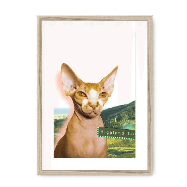 highland-coo-nf-wm-16.png