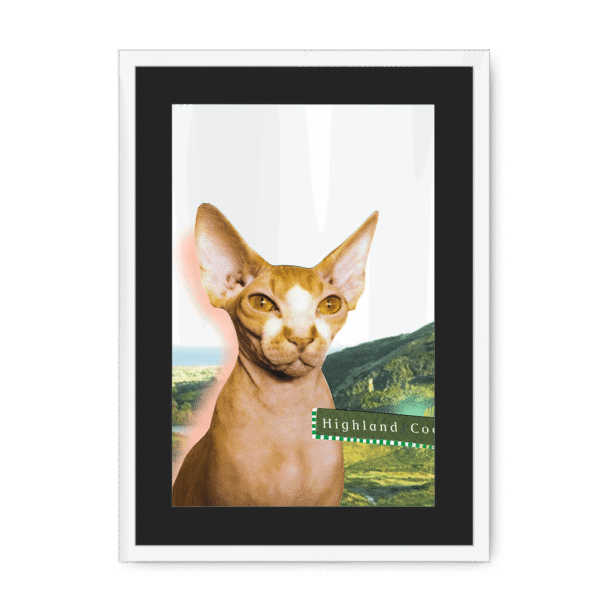 highland-coo-wf-bm-16.png