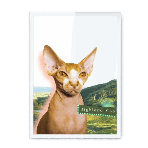 highland-coo-wf-nom-22.png