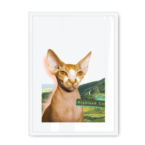 highland-coo-wf-wm-16.png