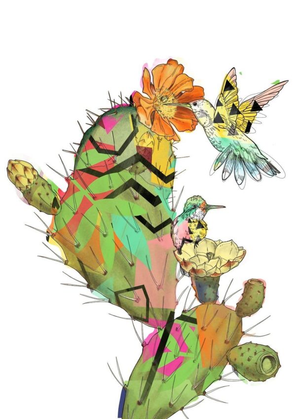 hummingbird-cactus-matte-art-print-16949531443356-3.jpg