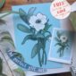 january-giclee-print-gift-card-set-30410542579868-2.jpg