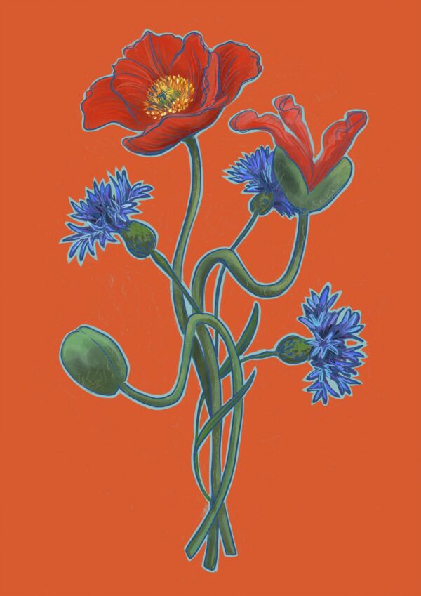 july-giclee-print-gift-card-set-30274311291036-2.jpg