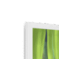 jungle-stripes-framed-print-31622358696092-4.png