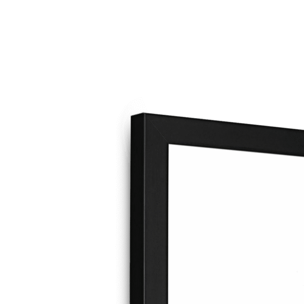 kingfisher-bird-b-corner-5.png