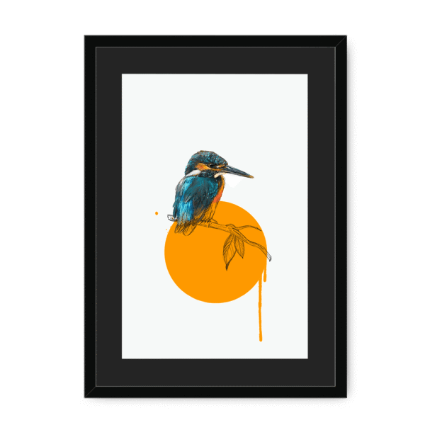 kingfisher-bird-bf-bm-21.png