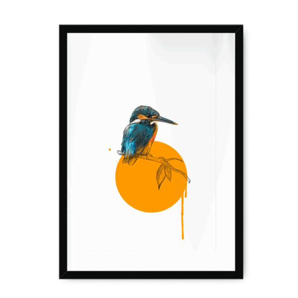 kingfisher-bird-bf-wm-22.png