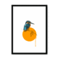 kingfisher-bird-bf-wm-22.png