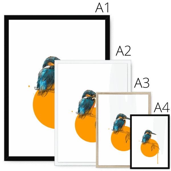kingfisher-bird-four-sizes-5.png