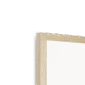 kingfisher-bird-n-corner-5.png