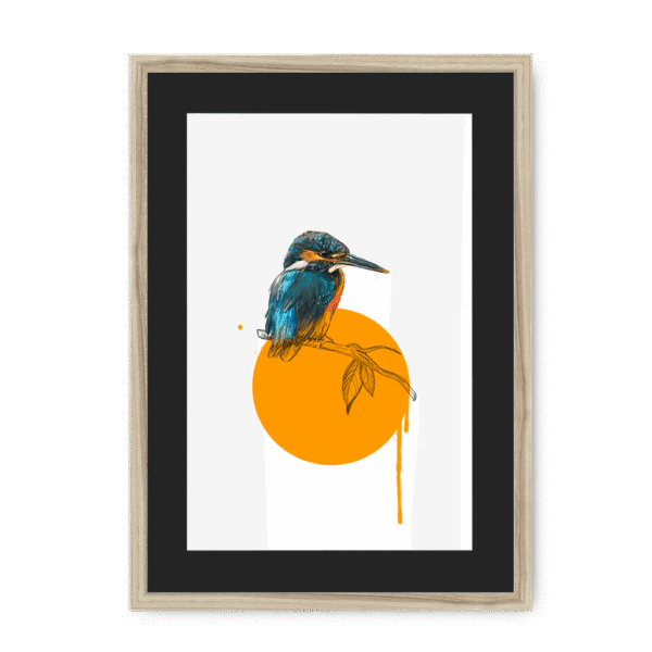 kingfisher-bird-nf-bm-21.png