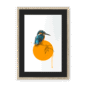 kingfisher-bird-nf-bm-21.png