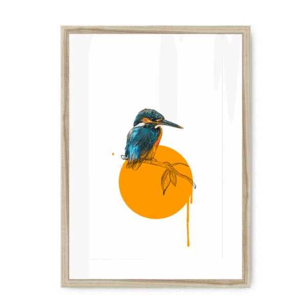 kingfisher-bird-nf-wm-22.png