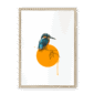 kingfisher-bird-nf-wm-22.png