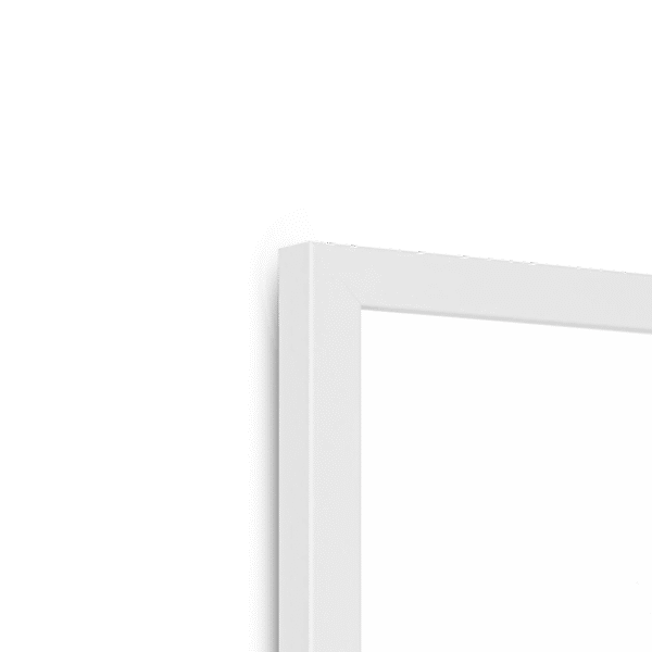 kingfisher-bird-w-corner-5.png
