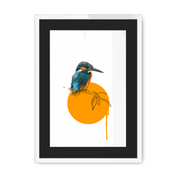kingfisher-bird-wf-bm-21.png