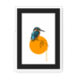 kingfisher-bird-wf-bm-21.png