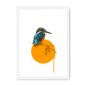 Kingfisher Framed Print