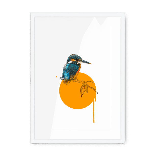 kingfisher-bird-wf-wm-22.png