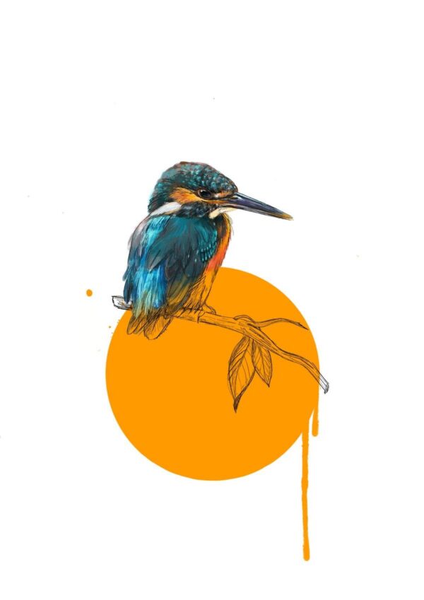 kingfisher-giclee-art-print-16996983537820-3.jpg