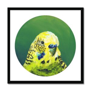 Green Budgie Framed Print