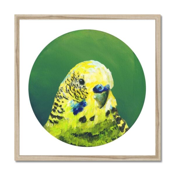 kite-259709445-green-budgie-framed-print-18466051981468-8.jpg