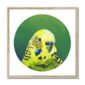 kite-259709445-green-budgie-framed-print-18466051981468-8.jpg