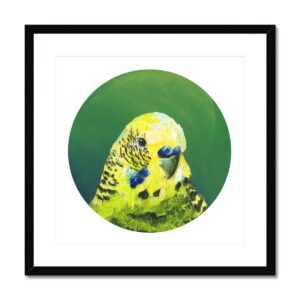 Green Budgie Framed & Mounted Print