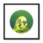 kite-259709536-green-budgie-framed-mounted-print-18466056536220-4.jpg