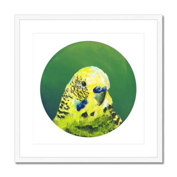 kite-259709537-green-budgie-framed-mounted-print-18466056568988-4.jpg