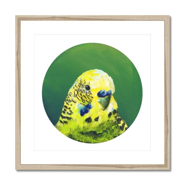 kite-259709538-green-budgie-framed-mounted-print-18466056601756-4.jpg